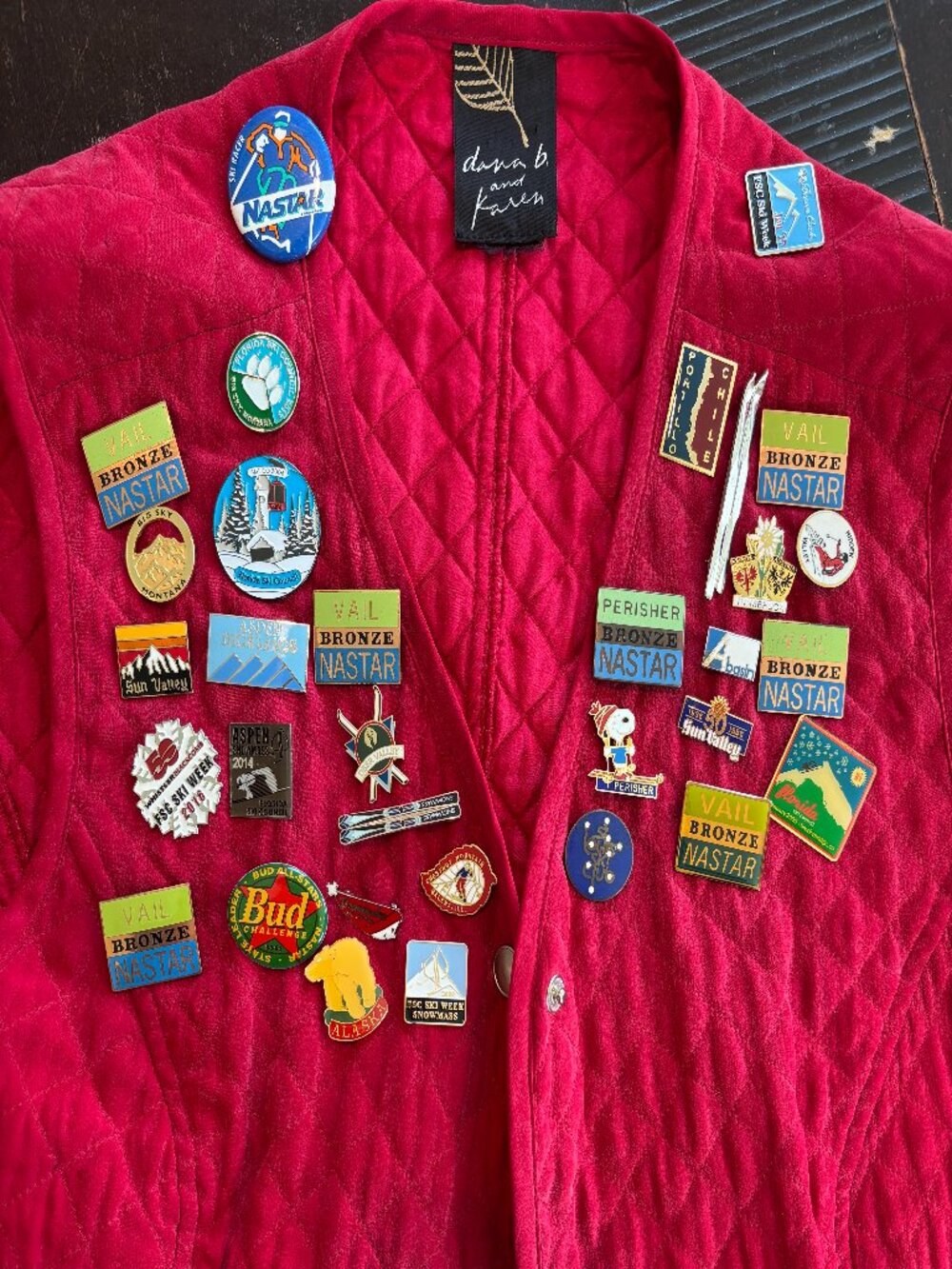 Lot 32 Vintage & Modern Ski Resort Pins Austria Chile Sun Valley Aspen Enamel